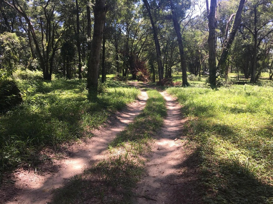 Chokecherry Ln