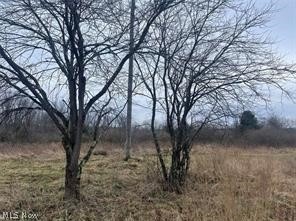 5930 N Mccune Rd NW, McConnelsville, OH 43756 - photo 1