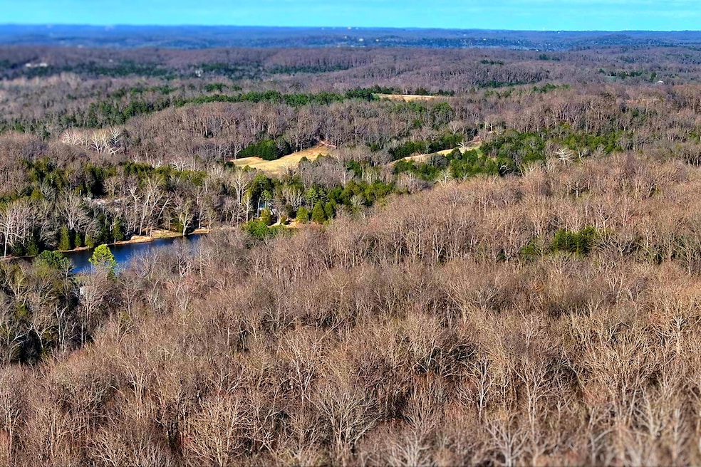 302 Spring Woods Rd, Dittmer, MO 63023 - photo 1