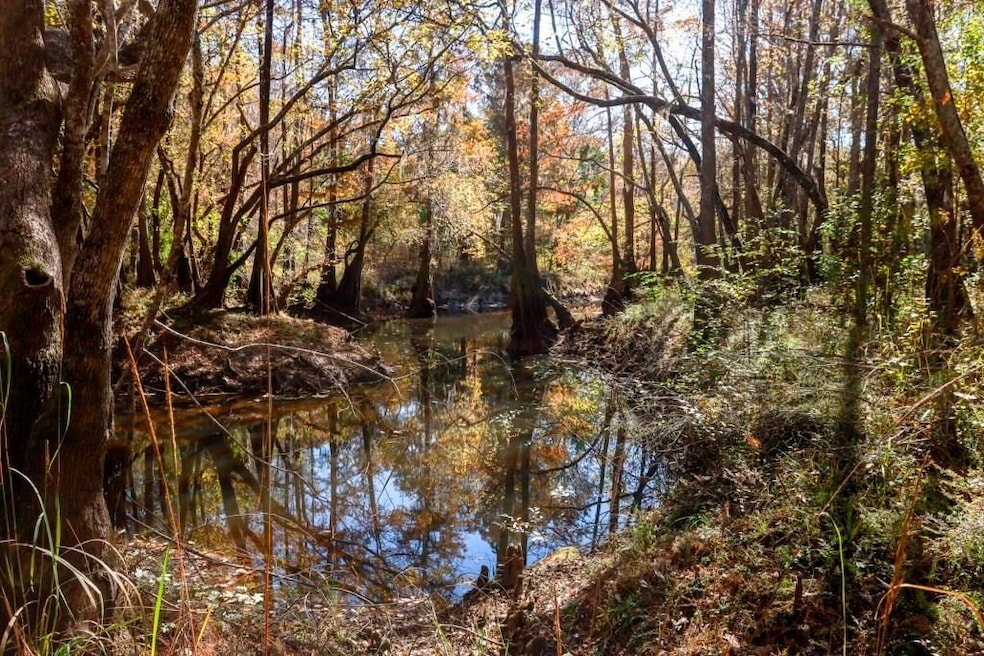 0 Twin Forks Rd unit 25651129, Statesboro, GA 30458 - photo 1