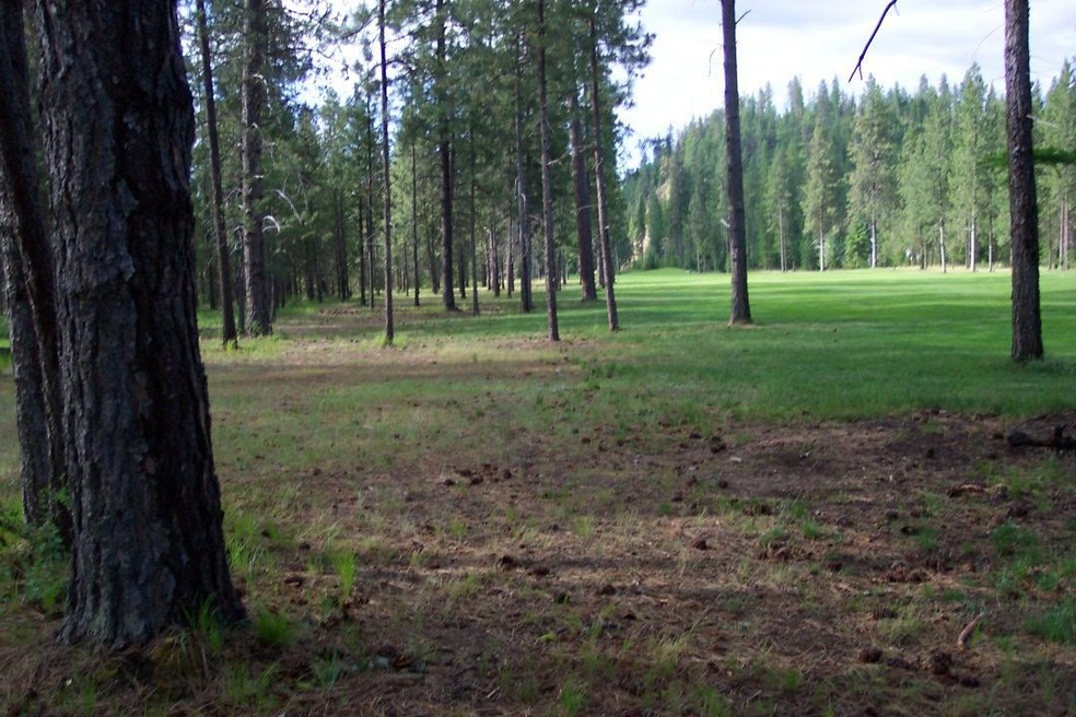GOLF COURSE VIEW