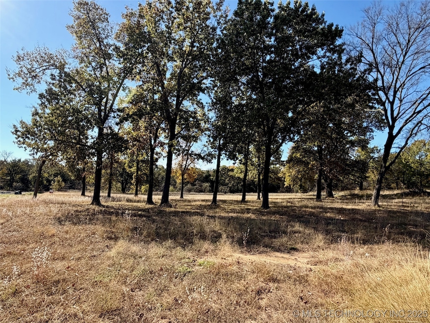 0 Texoma Rd unit 2548546, Kingston, OK 73439 - photo 1
