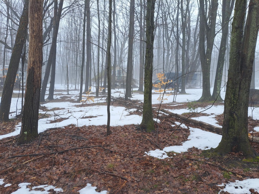 106 W Ridge Cir, Le Roy, MI 49655 - photo 1