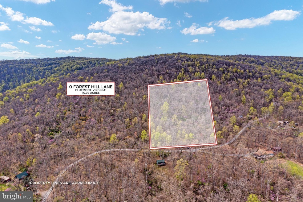 0 Forest Hill Ln unit VALO2024984, Bluemont, VA 20135 - photo 1