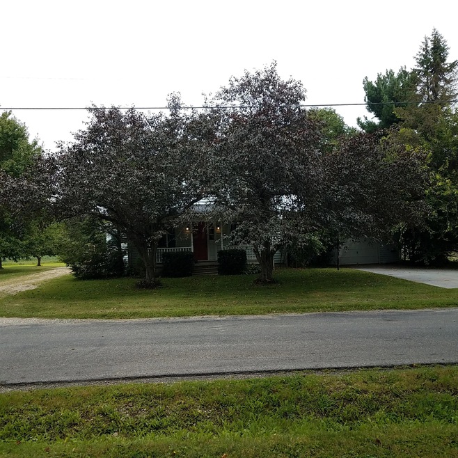 Front Mill Street Avenue