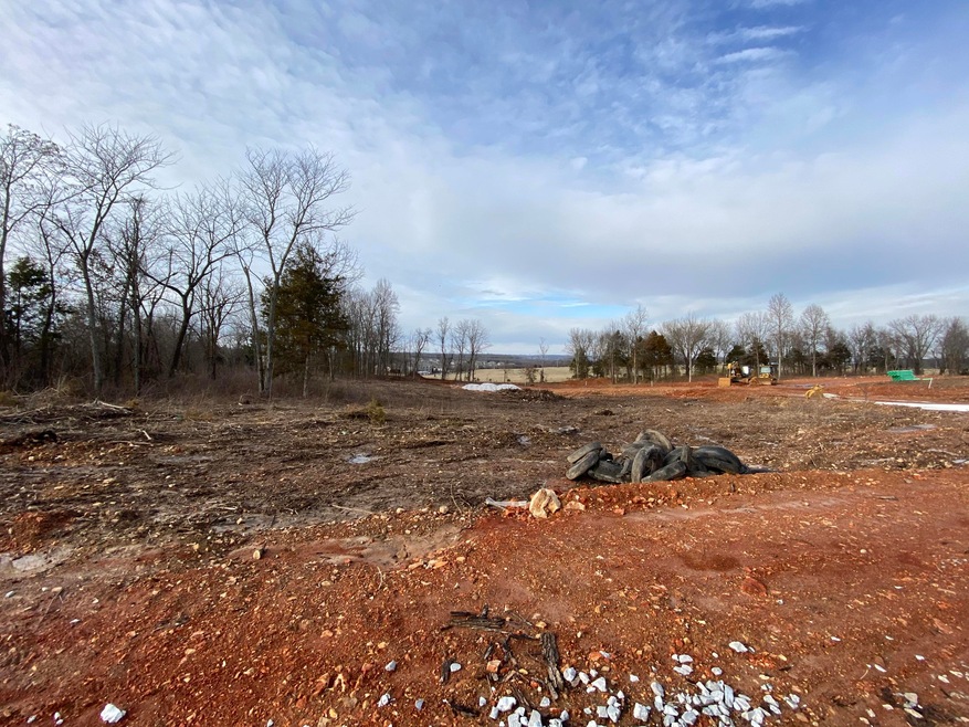 Lot 19 the Estates of Enniskerry, Nixa, MO 65714 - photo 1