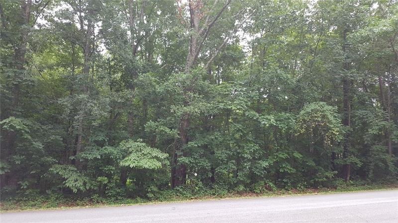 3408 Maple Dr SW, Snellville, GA 30078 - photo 1