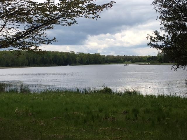 Lake view