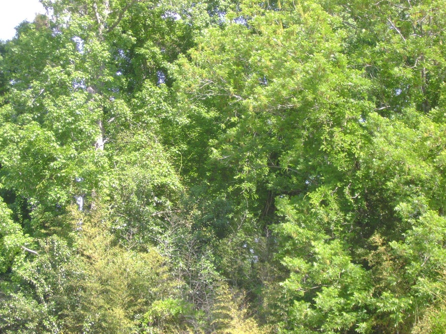 DSC01314