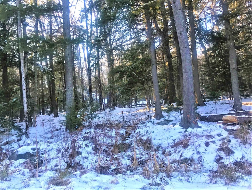 929 Porcupine Ln unit M929, Wilmington, VT 05363 - photo 1