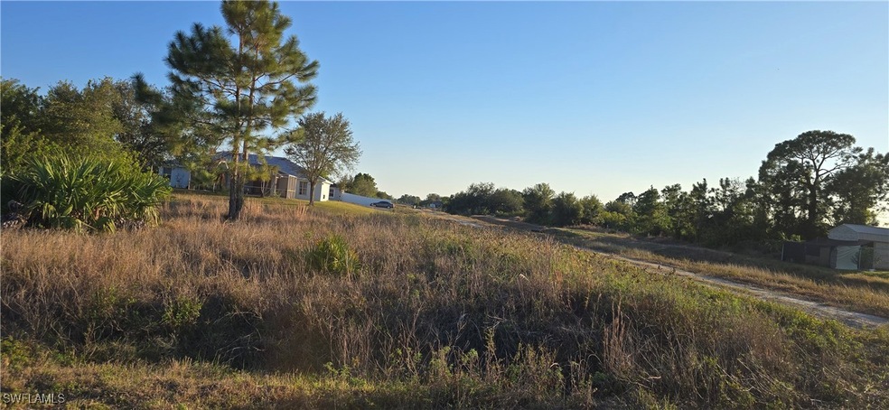 View of local wilderness