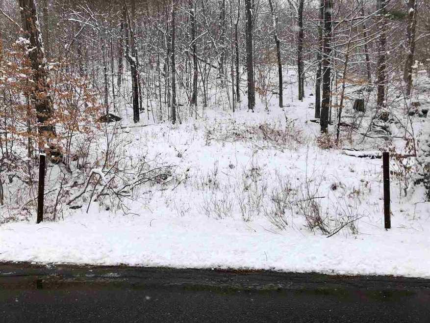 5732 Monument Hill Rd unit Lot 1, Castleton, VT 05735 - photo 1