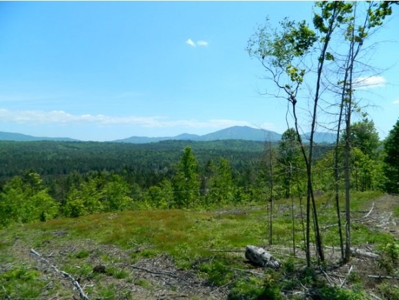 0 Vt Route 5a, West Burke, VT 05871 - photo 1