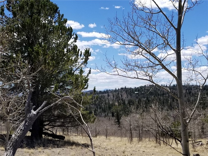 132 Grebe Ln, Como, CO 80432 - photo 1