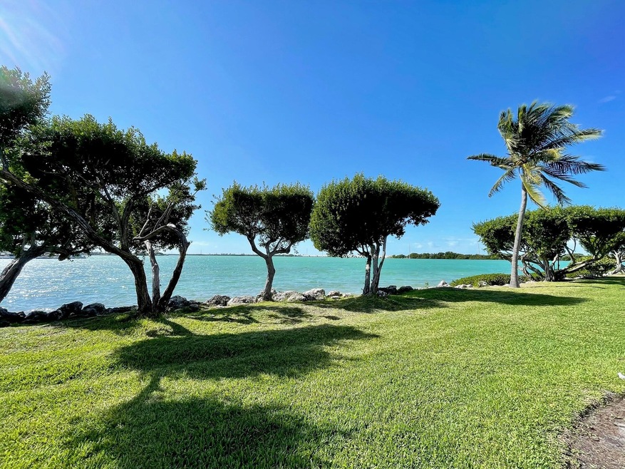 Rear Grassy lawn to the water