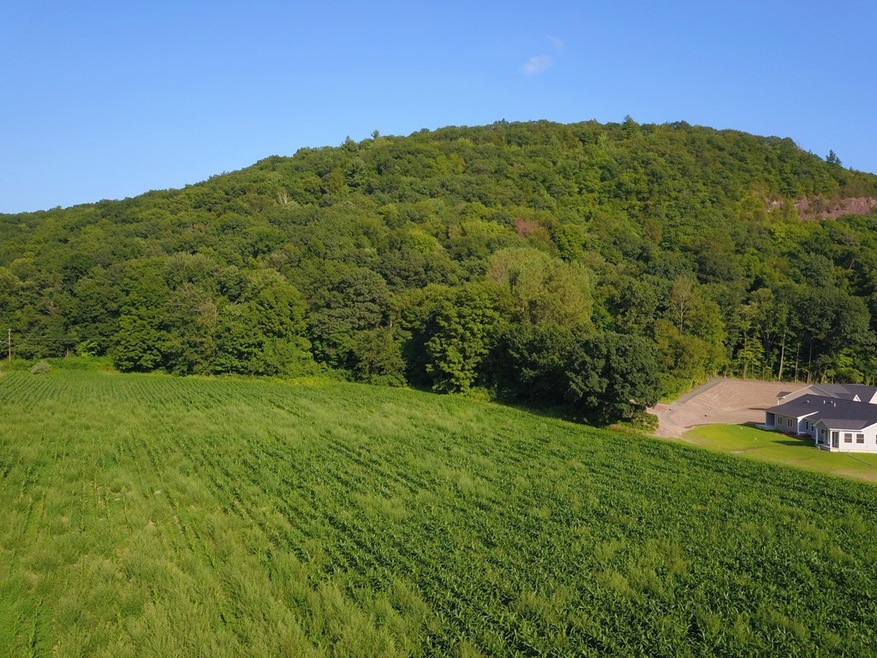 49 Mountain Rd, Deerfield, MA 01373 - photo 1