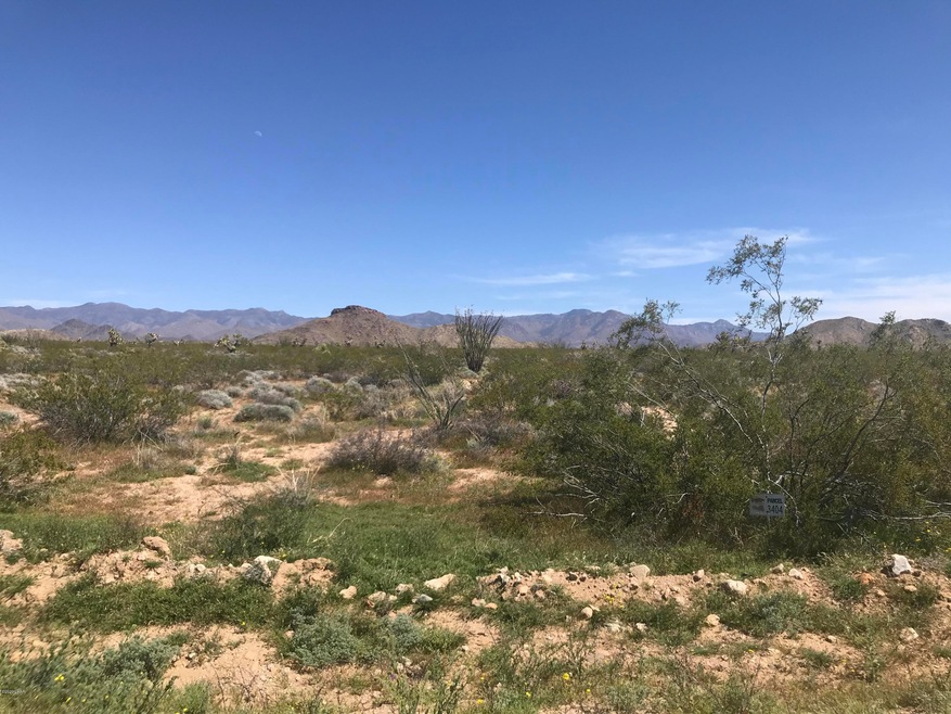 0000 Parcel 3404 Lone Ranger Rd, Yucca, AZ 86438 - photo 1
