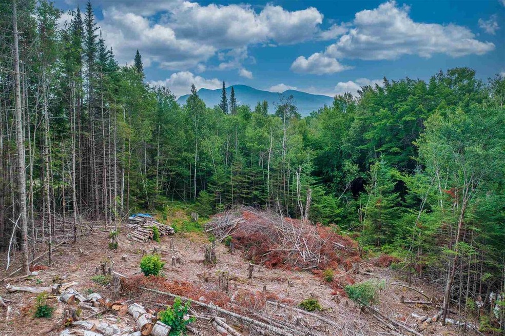 000 Maple Dr, Carroll, NH 03574 - photo 1