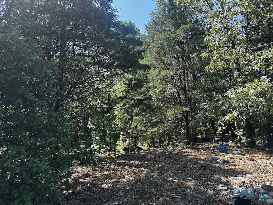 0 Victory School Rd, Avinger, TX 75630 - photo 1