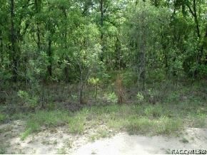 1570 E Sheridan Ln, Hernando, FL 34442 - photo 1