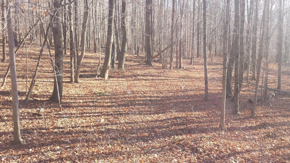 0 Siko Rd unit PWB155722, Honesdale, PA - photo 1