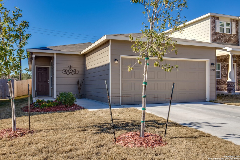 10239 Castello Canyon, San Antonio, TX 78254 - photo 1