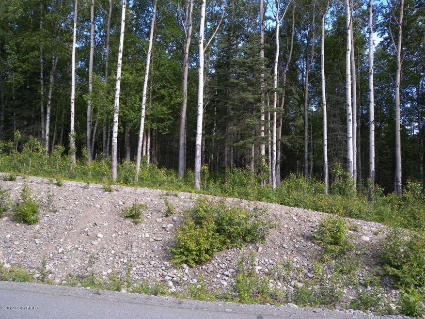 Front of lot