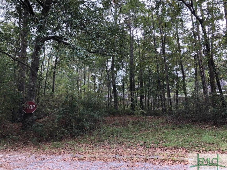 0 Ackerman Rd, Rincon, GA 31326 - photo 1