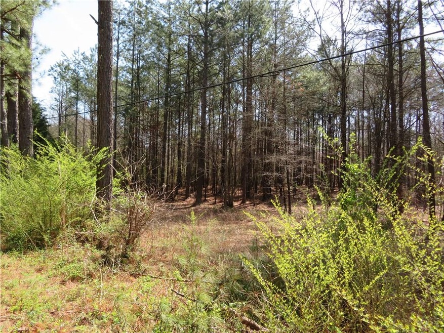 Beautiful property with many possible building sit