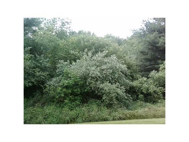 unlisted-address, Howard, OH 45714 - photo 1