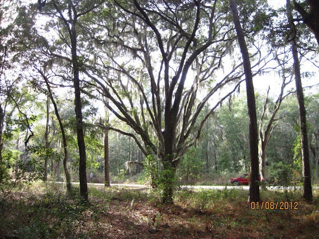 Lot 4 Carnochan Ln SE, Darien, GA 31305 - photo 1
