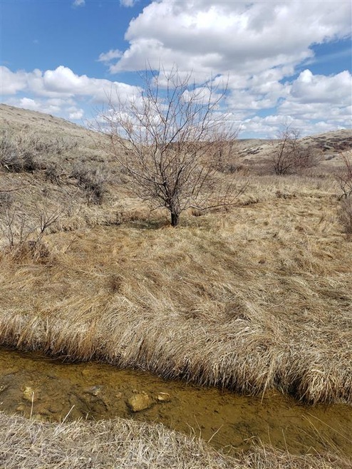Year round Creek