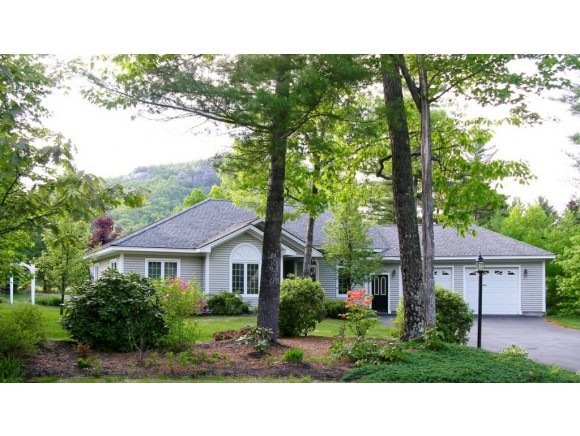 52 Carleton Way, Hales Location, NH 03860 - photo 1