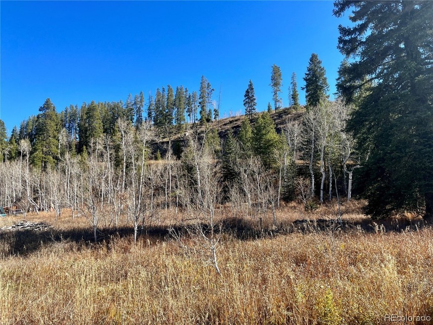 !.1 acre lot view from street side on Lupine Court