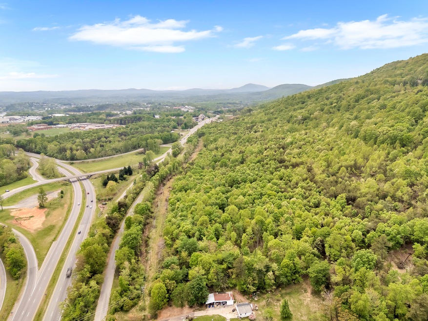 01-95Acre Lot_01