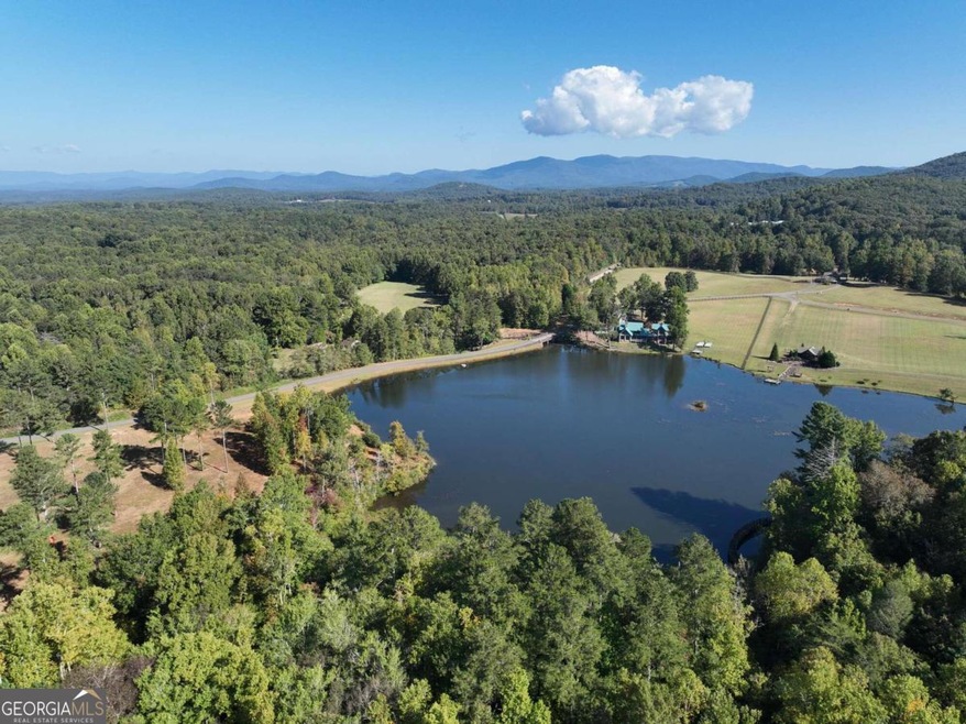 141 Autumn Fern Ln, Ellijay, GA 30536 - photo 1