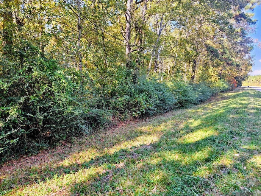 TBD Tunica Trace, Saint Francisville, LA 70775 - photo 1