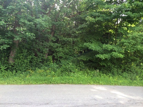 On Coppermine, Monroe, NH 03771 - photo 1