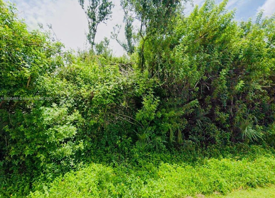 1366 Preston St, Port Charlotte, FL 33952 - photo 1