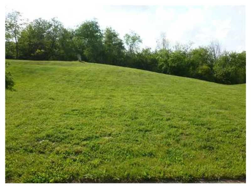 Land/Lot.
