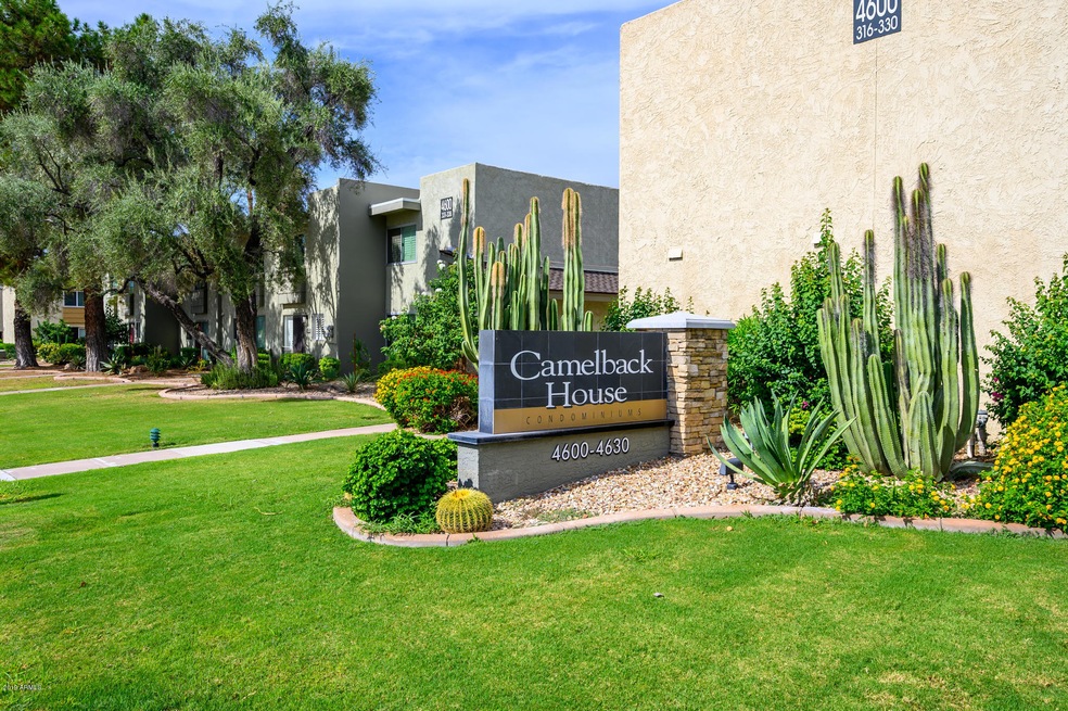 Front of Complex