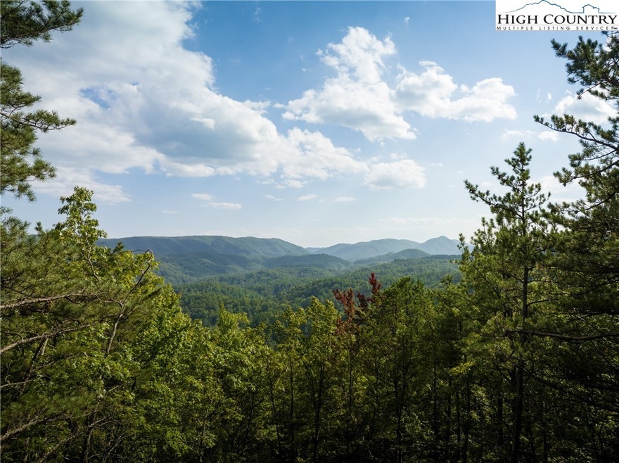 1318 Roundleaf Ln, Ferguson, NC 28624 - photo 1