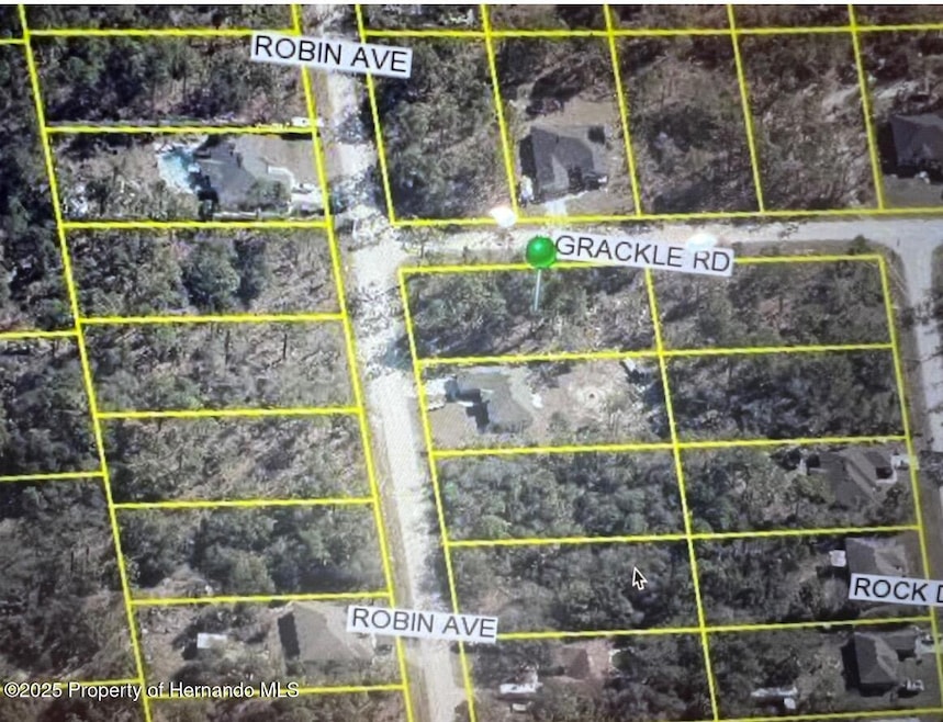 13020 Robin Ave, Weeki Wachee, FL 34614 - photo 1