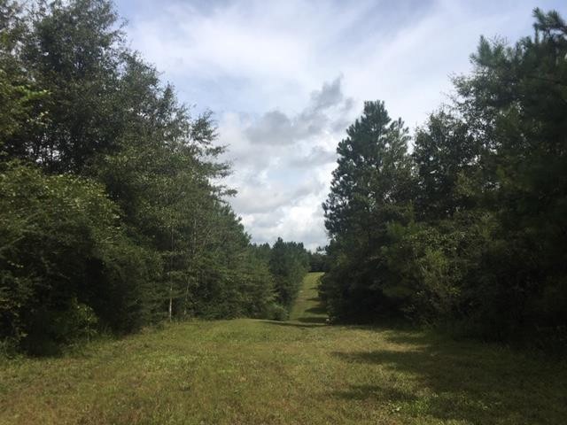 00 N Patten Rd, Tylertown, MS 39667 - photo 1