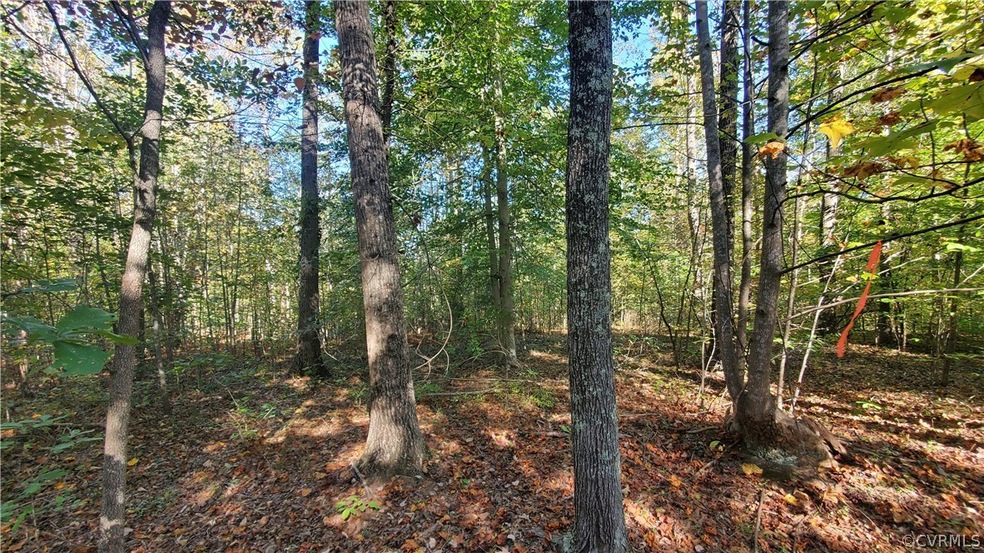 10.98 Acres Genito Rd, Amelia Ct Hse, VA 23002 - photo 1