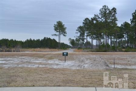 1510 E Gantry Ct, Leland, NC 28451 - photo 1