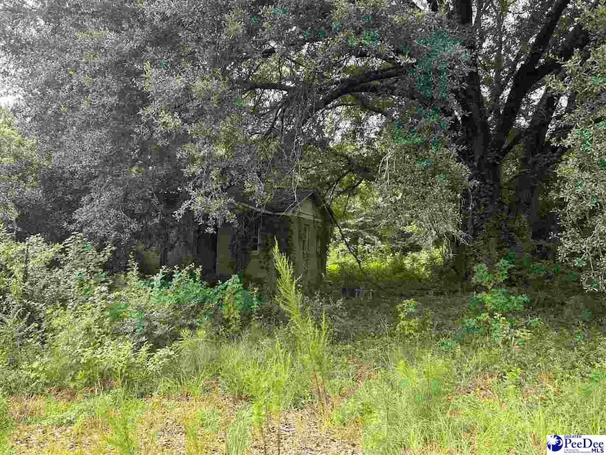 166 Wilbur Ct, Timmonsville, SC 29161 - photo 1