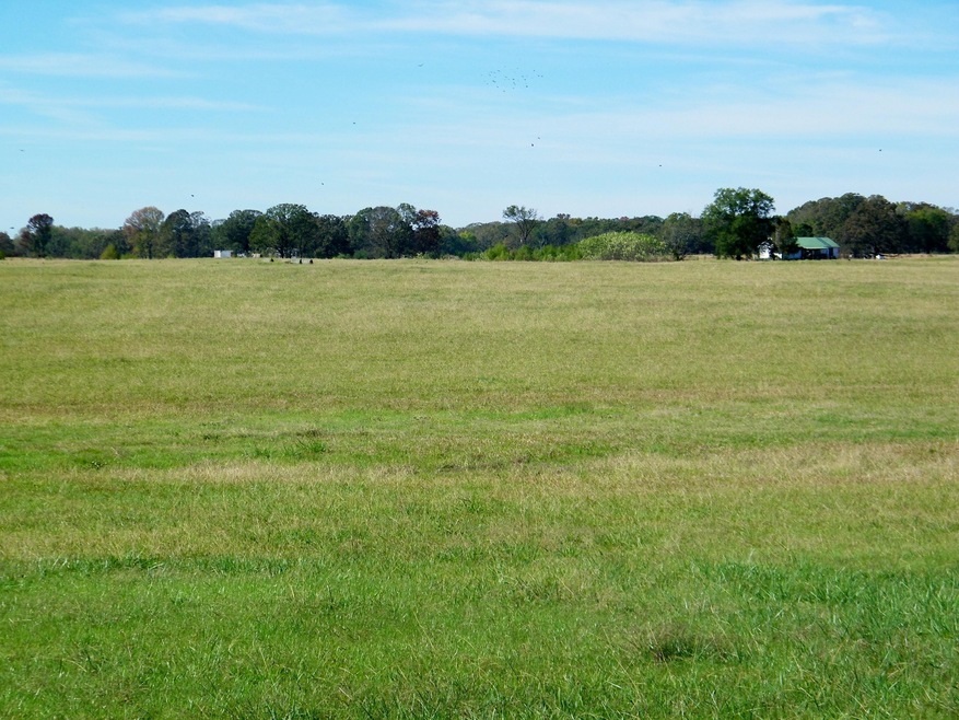 For Sale $2,995,000