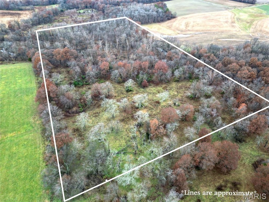 00 Pyrite Dr, Bible Grove, IL 62858 - photo 1