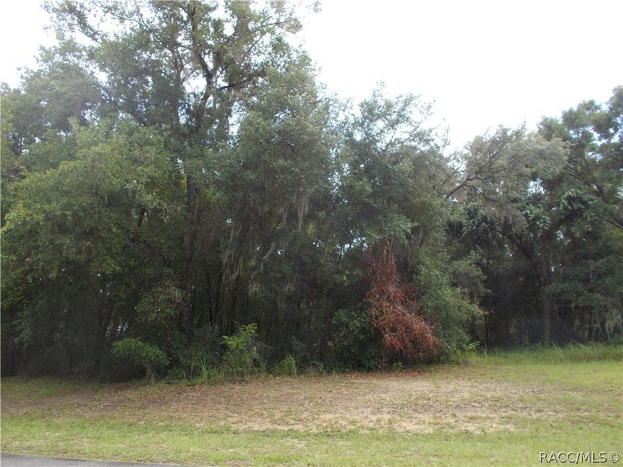 3378 N Chandler Dr, Hernando, FL 34442 - photo 1